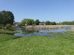Dorfteich in Bandelow, Uckermark (26.05.2026)