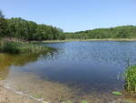 K�chenteich bei Schlo� Boitzenburg, Uckermark (26.05.2026)