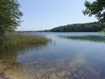 Haussee bei Hardenbeck im Boitzenburger Land, Lkr.