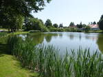 Dorfteich in Hardenbeck, Lkr.