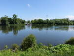 Blick vom linken Mainufer auf die Mainfähre bei Rumpenheim (30.05.2021)