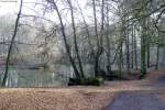 Beim Spaziergang abgelichtet: Der Aschsee am Bergpark Wilhelmshöhe (29.12.2015).