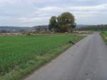 Landschaft bei kassel, Schafherde - Oktober 2008