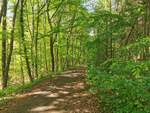 Fernwald Annerod, Der Butterweg zwischen Gießen und Annerod kurz nach dem Ortsausgang von Annerod nähe des Mühlendorfs.