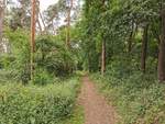 Waldweg zwischen Anneröder Weier und Hochbehälter der Stadtwerke Gießen und Schützenverein Annerod.