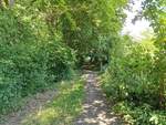 Blick in den Wanderweg entlang des Waldrands am Ende des Tiefenwegs in Fernwald Annerod.