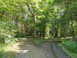 Weggabelung am Butterweg (links) vor dem Ortseingang von Fernwald Annerod.