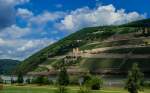 Am Hang des Rüdesheimer Berges befindet sich die Ruine der Burg Ehrenfels. Sie wurde Anfang des 13. Jahrhunderts errichtet. Die große Schildmauer mit ihren beiden Ecktürmen (Bergseite) und Reste eines dreigeschossigen Palas (Rheinseite) sind noch erhalten. Der ruinöse Zustand der Burg ist auf Kriegszerstörungen im 17. Jahrhundert zurückzuführen. Die Burgruine gehört seit 2002 zum UNESCO Welterbe  Oberes Mittelrheintal . (16.07.2014)