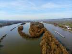 Die Mariannenaue im Rhein; 15.03.2020