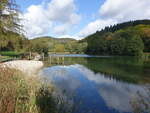 Bömighäuser Teich bei Alleringhausen, Landkreis Waldeck-Frankenberg (08.10.2022)