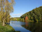 Reiherbach Vorstaubecken bei Nieder-Werbe (08.10.2022)