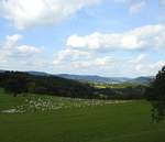 IM HESSISCHEN WESTERWALD BEI DILLENBURG
Eine wunderschöne hessische Mittelgebirgslandschaft mit großer Schafherde
im Vordergrund und der Oranierstadt DILLENBURG im Tal...am 4.9.2017