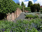 Im Pfarrgarten von Ranstadt, Wetteraukreis (29.05.2021)