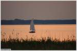 Sommer auf Usedom 2010: Abendsegler auf dem Peenestrom bei Rankwitz