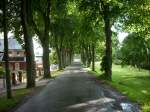 Einsame Straße in Bergen/Rügen umgeben von Bäumen.