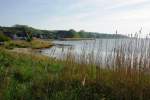 Impressionen eines strmischen Tages am Ufer des grossen Jasmunder Boddens