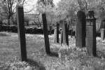 Rügen - Ob Bauern, Fischer oder Seefahrer - die Grabsteine in  Altenkirchen stehen einträchtig beieinander.