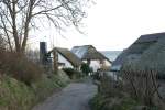 Vitt im Feb. 2009