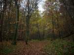 Mitten im Rugardwald bei Bergen/Rgen.