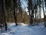 Langsam kammen die ersten Sonnenstrahlen durch den Wald bei Bergen/Rügen Anfang Januar 2010 dennoch kam der Winter wieder zurück.