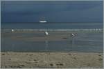 Sptsommerliche Strandambiente in Binz auf Rgen.
15.09.2010