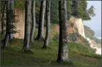 Weltnaturerbe -     Buchenwald über den Kreidefelsen von Rügen auf der Halbinsel Jasmund.