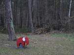 Waldspielplatz - nur dort sieht man einen roten Elefanten im Wald. Ostseebad Binz, 27.12.2011