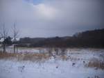 Nationalpark Sassnitz am 04.01.2012