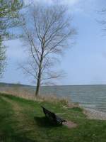 Am Spitzer Ort in Lietzow mit Blick zum Kleinen Jasmunder Bodden.Aufgenommen am 06.Mai 2013.