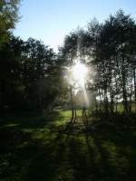 Sonnenspiele durch die Bäume bei Bergen/Rügen.Aufgenommen am 07.Oktober 2013.