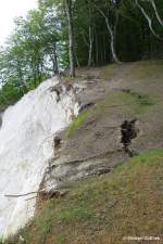 Im sicheren Abstand aufgenommen wurde diese brüchige Kante oberhalb der Kreidefelsküste nördlich von Sassnitz, Rügen (Mai 2011)
