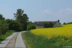 Reetdach gedecktes Haus neben einem Rapsfeld auf der Reddewitzer Höft westlich von Alt Reddewitz (Mönchgut, Rügen, Mai 2011)