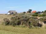 Sanddorn und reetgedeckte Häuser sind auf der Insel Hiddensee zu finden; 140917