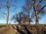 Feldweg zur Insel Pulitz,am 10.Februar 2015,bei Stedar.