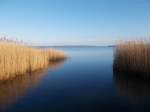 Kleine Bucht am Großen Jasmunder Bodden,am 28.Februar 2015,bei Banzelvitz.