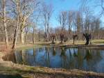 Umringt von Weidenbäumen ein Teich im Schloßpark Pansevitz am 08.März 2015.