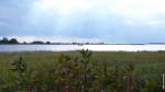 Blick von der kleinen Insel Ummanz auf die große Nachbarinsel Rügen (September 2012)