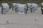 Strandkörbe bei Baabe auf der Insel Rügen (Mai 2011)
