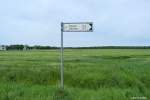 Zu Fuß unterwegs von Middelhagen durch die Felder in Richtung Göhren und dann weiter nach Baabe (Mönchgut, Rügen, Mai 2011)