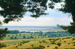 Hiddensee vom Schluckswiek aus gesehen. Bild vom Dia. Aufnahme: August 2001.