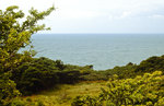 Blick auf Rennbaumhuk auf der Insel Hiddensee.