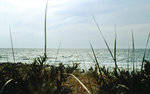 Am Strand vor Kloster auf der Ostseeinsel Hiddensee.