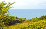 Blick am Svantevitschlucht auf der Insel Hiddensee.