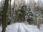 Schnee im Wald bei Tilzow am 21.Dezember 2021.
