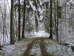 Durch den dichten Wald hat der Schnee nicht ganz für eine Schneedecke gereicht.Aufgenommen am 21.Dezember 2021 in Tilzow.