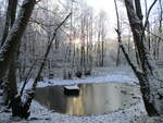 Kurz vor Weihnachten gab es etwas Schnee auf Rügen.So war,am 21.Dezember 2021,dieser kleine Teich bei Tilzow mit einer Eisschicht bedeckt.