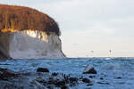 
Kreidefelsen auf Rügen mit langsam zufeierendender  Wiek. - 01.02.2026