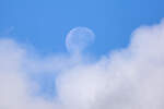 Abnehmender Mond  am fr�hen Morgen mit Kuschelwolke. - 01.09.2026
