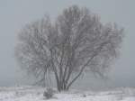 Der letzte kalte Winter? Naja, ganz so schlimm wirds nicht sein. Dezember 2005 bei Prora