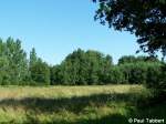 Sommer in Hagenow Land am 07.08.06